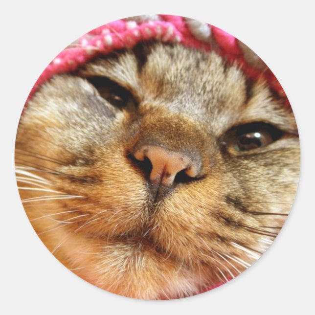 ADESIVO ピンク帽子のチャド (Frente)