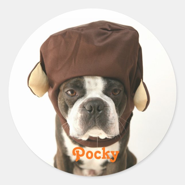 ADESIVO モンキー1 (Frente)