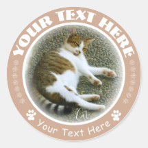 猫 ラ ウ ン Instル...