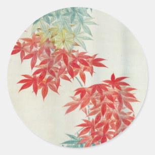 Adesivo 紅 葉, 其 一 árvore mapeada japonesa, Kiitsu
