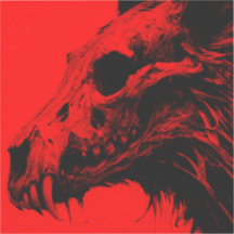 𝗘 𝗖 𝗦 𝗔 𝗦 𝗧 𝗜 𝗬 𝗡 𝗗 𝗘 𝗖 𝗔 𝗬 | Vinhe