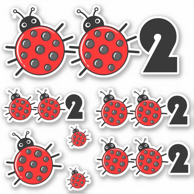 Adesivo 🐞 002, Conjunto de pickleball de pickleball (Frente)