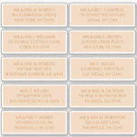 Adesivo 10 Nome de Convidado Individual Endereço Champagne<br><div class="desc">10 Pessoas com Nome de Convidado Endereço Celestial Champagne Dourado Wedding Stickers apresenta 10 adesivos com o seu nome de convidado e endereço individual em cada adesivo em um roteiro de ouro em um fundo de champanhe. Também perfeito para Natal e Cartões de natal, convites de festas, cartas de agradecimento...</div>