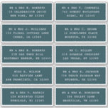 Adesivo 10 Nome de Convidado Individual Endereço Parte Cas<br><div class="desc">10 Autocolantes de Nome de Convidado Individuais Os Autocolantes de Script Preto de Casamento de Partido de Endereços Negra contêm 10 autocolantes com o nome de convidado e endereço individuais em cada adesivo em um script branco em um fundo azul. Também perfeito para Natal e Cartões de natal, convites de...</div>