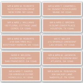 Adesivo 10 Nome de Convidado Individual Endereço Parte Cas