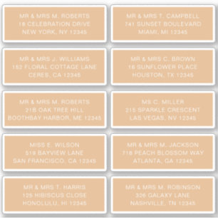 Adesivo 10 Nome de Convidado Individual Endereço Partido C