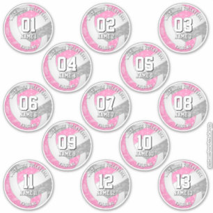 Adesivo 13 jogadores de vôlei boho paisleys cinza rosa