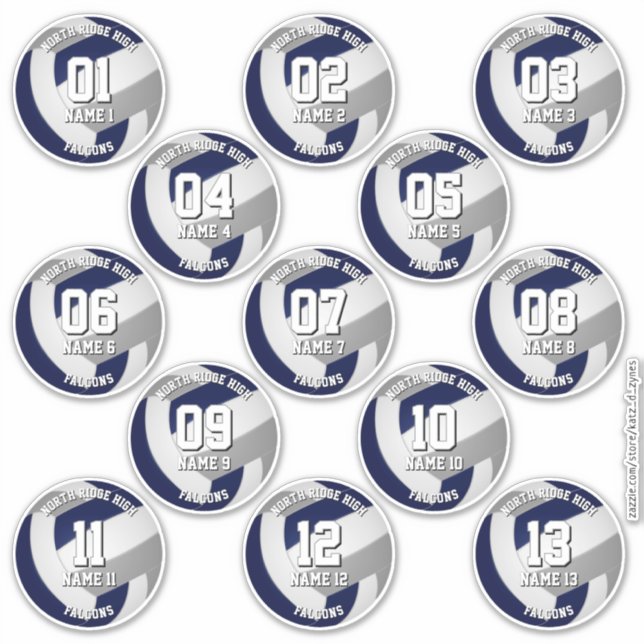 Adesivo 13 jogadores de vôlei - cores da cinza azul (Frente)