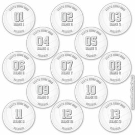 Adesivo 13 jogadores de voleibol personalizados INDIVIDUAL