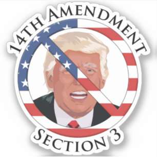 Adesivo 14 Emenda Anti-Trump
