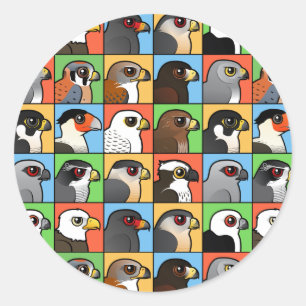 Adesivo 16 Perfis de Raptor norte-americanos (em série)