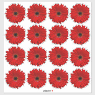 Adesivo 16 Vinhetas-Beijo-Corte Vermelho Gerbera Daisy Flo
