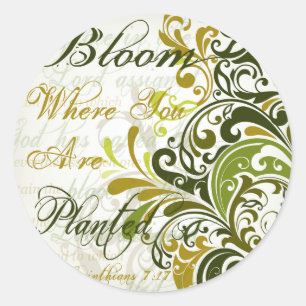 Adesivo 1 núcleo 7 arte de 17 escrituras