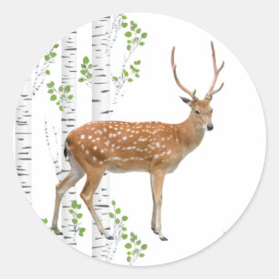 Adesivo 20 - 1.5 Envelope Seal Deer Doe Buck Woodland