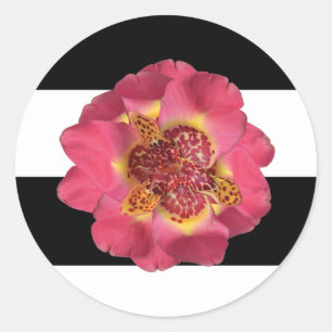 Adesivo 20 - 1,5 Envelope Seal Moderno Stripe Preto