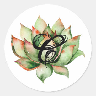 Adesivo 20 - 1,5 Envelope Selo Boho Cactos Cactus Succulen