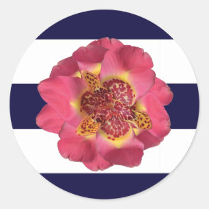 Adesivo 20 - 1,5 Envelope Selo moderno Marinho azul