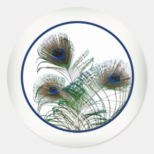 Adesivo 20 - 1,5" pavão do envelope emplumam-se o