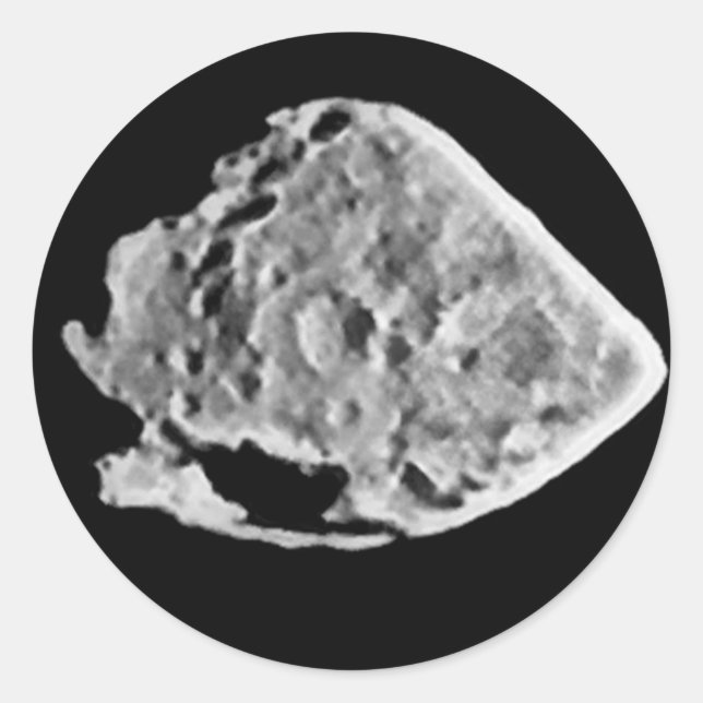 Adesivo 2867 Canecas de cerveja (1969 VC) (Frente)