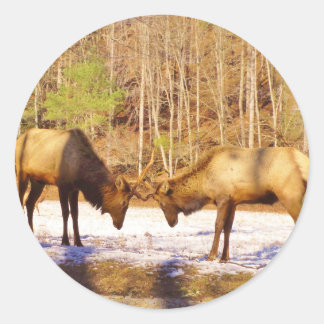 Adesivo 2~ 2 Bull Elk na neve