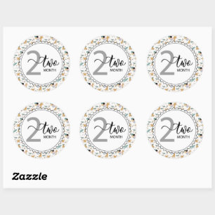 Adesivo 2 meses Milestone Baby Girafes and Balloons