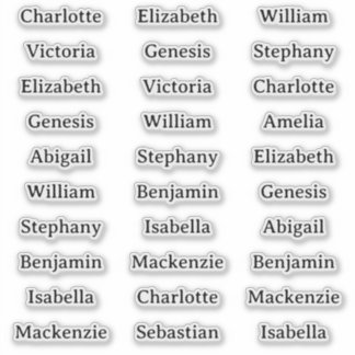 Adesivo 30 Guest Names Stickers For Place Cards and Favors