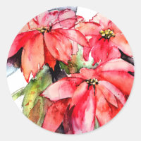 3 Poinsettias Vinhetas de Natal