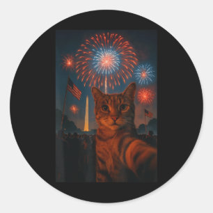 Adesivo 4 De Julho Fogos De Artifício Patrióticos Engraçad