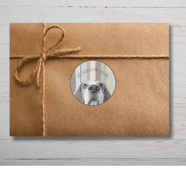 Adesivo 50º Semestre e Fabuloso Aniversário