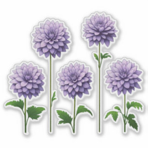 Adesivo 5 Dália Lavanda (brilhante)