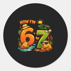 Adesivo 6 no próximo ano serei 7 capivara 67 aniversário m