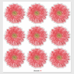 Adesivo 9 Coral Gerbera Daisy Flower Kiss-Cut Stickers