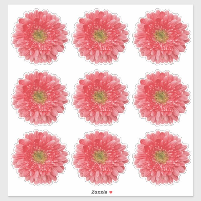 Adesivo 9 Coral Gerbera Daisy Flower Kiss-Cut Stickers (Folha)