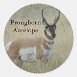 Adesivo A8 Pronghorn Antelope Big Buck
