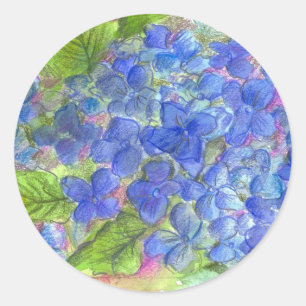 Adesivo A aguarela azul do Hydrangea floresce a pintura