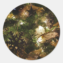 A borboleta do Natal