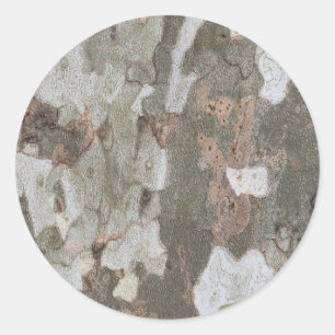 Adesivo A camuflagem da árvore planificada parece um padrã