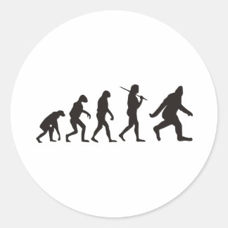 Adesivo A Evolução Do Pé Grande