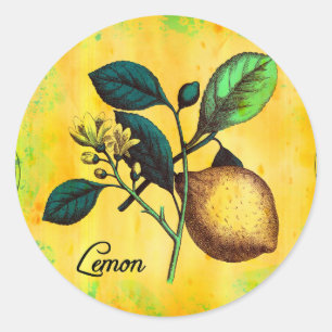 Adesivo A fruta do limão floresce o vintage das folhas