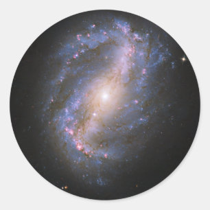 Adesivo A galáxia espiral barrada NGC 6217