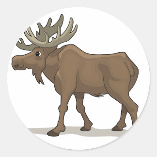 Adesivo A Moose