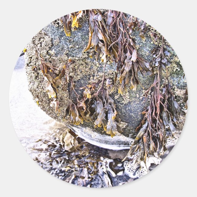 ADESIVO A PRAIA (Frente)