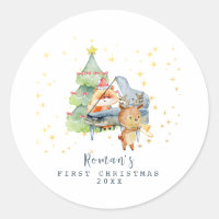 A primeira foto de Natal do bebê dos animais da fl