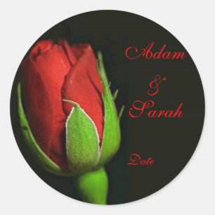 Adesivo a rosa vermelha, lapela aumentou, Adam & Sarah,