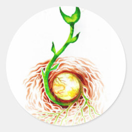 Adesivo A semente da tela de poster da vida imprimida a la