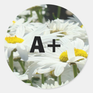 Adesivo A+ Stickers Estudantes Grau Professores Daisy