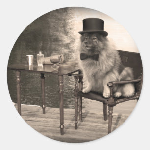 Adesivo A tarde do cavalheiro do Keeshond