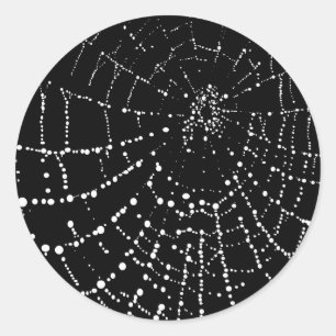 Adesivo A Web de aranha