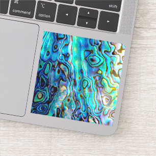 Adesivo Abalone shell