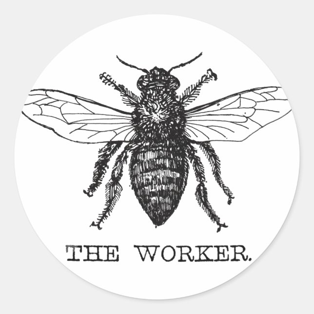 Adesivo Abeja Trabalhadora Mel Abelha Preta (Frente)